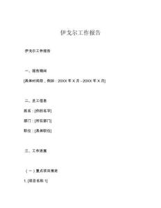 伊戈尔工作报告