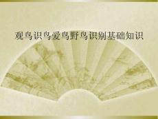 观鸟识鸟爱鸟野鸟识别基础知识