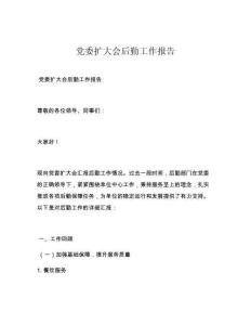 党委扩大会后勤工作报告