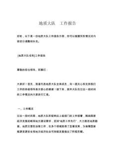 地质大队  工作报告