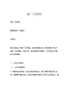 煤厂工作报告