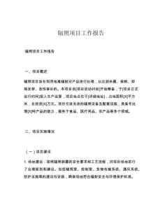 辐照项目工作报告