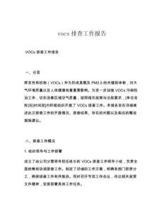 vocs排查工作報告