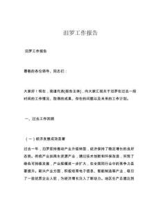 汨罗工作报告