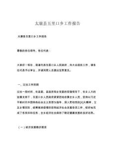 太康县五里口乡工作报告