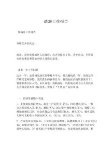鼎城工作报告