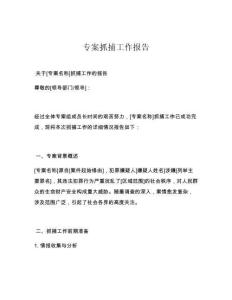 专案抓捕工作报告