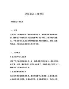 欠税追征工作报告