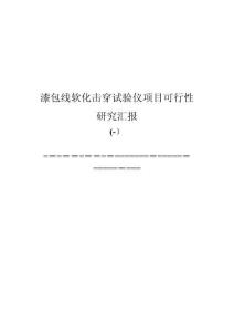 2025年中国漆包线软化击穿试验仪项目可行性报告