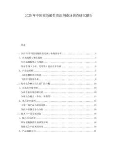 2025年中国高效酸性清洗剂市场调查研究报告