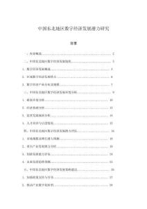 中国东北地区数字经济发展潜力研究