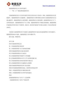 2025年废纸脱墨浆项目可行性研究报告