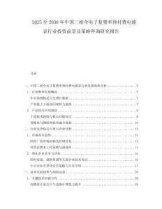 2025至2030年中国三相全电子复费率预付费电能表行业投资前景及策略咨询研究报告