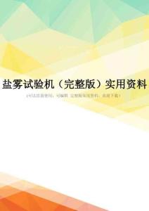 盐雾试验机(完整版)实用资料