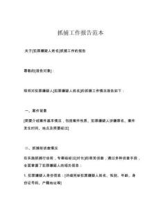 抓捕工作报告范本