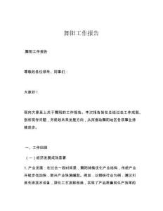 舞阳工作报告