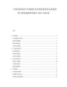 中国双道密封中空玻璃行业市场发展前景及发展趋势与投资战略研究报告2025-2028版