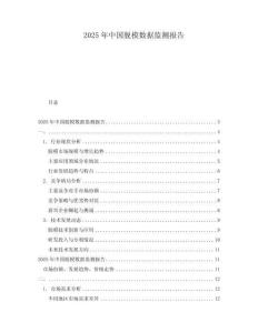 2025年中国脱模数据监测报告
