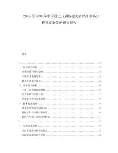 2025至2030年中国通过式钢瓶抛丸清理机市场分析及竞争策略研究报告