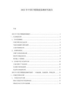 2025年中国字模数据监测研究报告