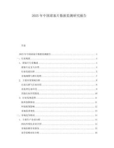 2025年中国堵塞片数据监测研究报告