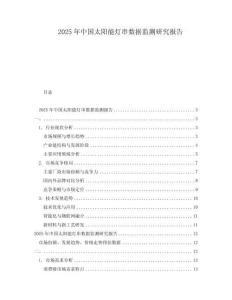 2025年中国太阳能灯串数据监测研究报告