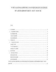 中国自动管材式喷砂机行业市场发展前景及发展趋势与投资战略研究报告2025-2028版
