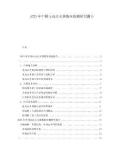 2025年中国电动点火器数据监测研究报告