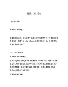 役情工作报告