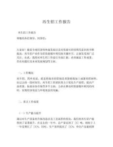 再生铝工作报告