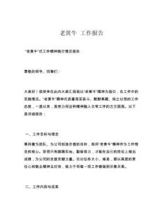 老黄牛 工作报告