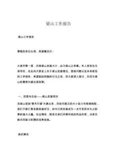 梁山工作报告