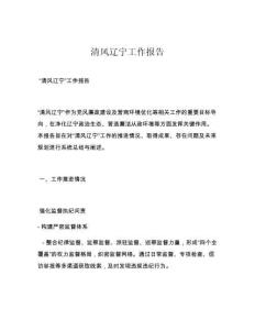 清风辽宁工作报告