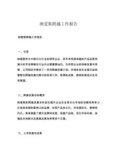 纳爱斯跨越工作报告