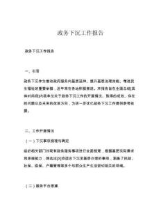 政务下沉工作报告