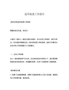 选举执委工作报告