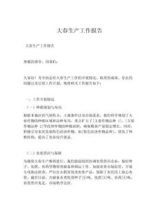 大春生产工作报告