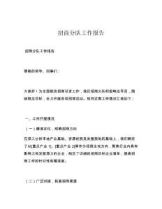 招商分队工作报告