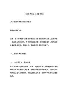 违规办案工作报告