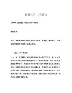 新疆兵团 工作报告