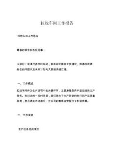 拉线车间工作报告