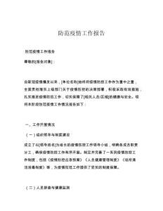 防范疫情工作报告
