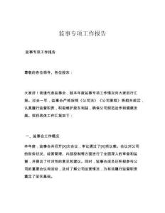 监事专项工作报告