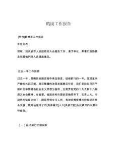 鹤岗工作报告