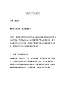評委工作報告