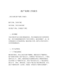 投产初期工作报告