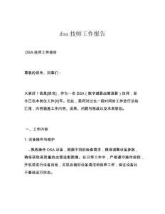 dsa技師工作報告