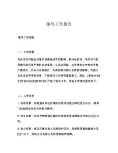 驱鸟工作报告