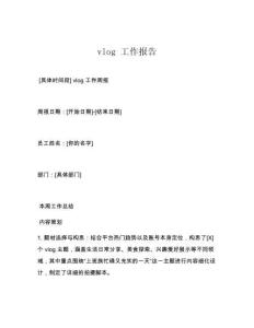 vlog 工作报告