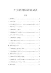 百年大變局下國際法的發展與挑戰